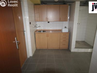 Pronájem skladového prostoru Plzeň, Domažlická č. 17