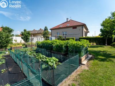 Sale multi-gen house Veltruby, Nová 321 č. 10