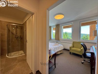 Sale apartment 1+KK Loučná nad Desnou č. 4