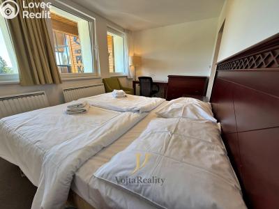Sale apartment 1+KK Loučná nad Desnou č. 5