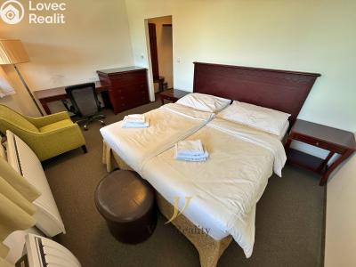Sale apartment 1+KK Loučná nad Desnou č. 6
