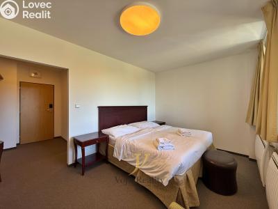 Sale apartment 1+KK Loučná nad Desnou č. 7