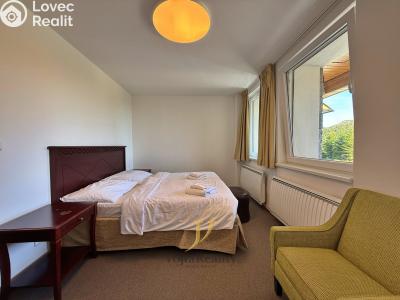 Sale apartment 1+KK Loučná nad Desnou č. 8
