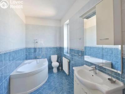 Pronájem obchodního prostoru Praha, Nový Zlíchov č. 24
