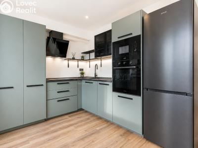 Продаж квартири 2+KK Mladá Boleslav, U stadionu č. 1