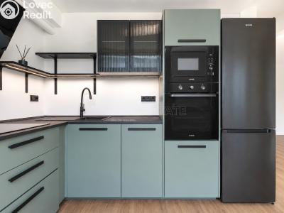 Продаж квартири 2+KK Mladá Boleslav, U stadionu č. 2