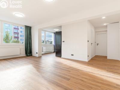 Продаж квартири 2+KK Mladá Boleslav, U stadionu č. 4