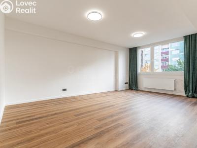 Продаж квартири 2+KK Mladá Boleslav, U stadionu č. 6