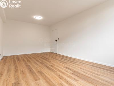 Продаж квартири 2+KK Mladá Boleslav, U stadionu č. 13