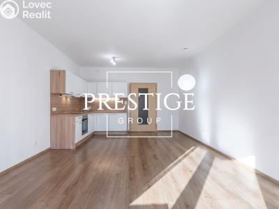 Pronájem bytu 1+KK Praha, U Hostavického potoka č. 1