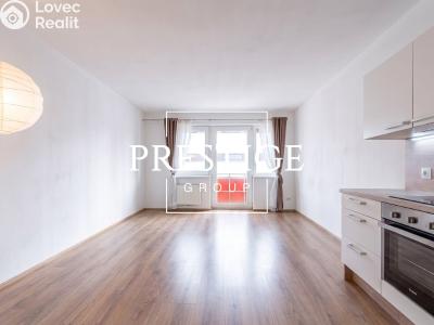 Pronájem bytu 1+KK Praha, U Hostavického potoka č. 2