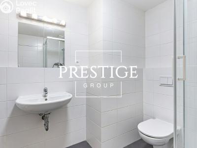 Pronájem bytu 1+KK Praha, U Hostavického potoka č. 7