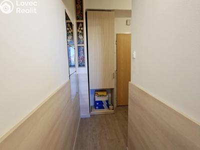 Sale apartment 1+1 Havířov, Astronautů č. 14