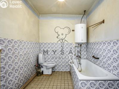 Sale cottage Vitín č. 9
