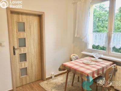 Pronájem bytu 1+1 Český Krumlov, Věncova 348 č. 3