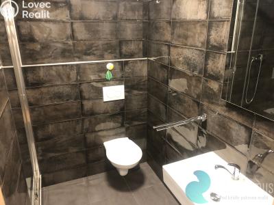 Pronájem bytu 1+1 Český Krumlov, Věncova 348 č. 7