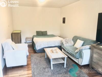 Pronájem bytu 1+1 Český Krumlov, Věncova 348 č. 9