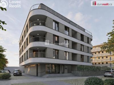 Sale apartment 1+KK Pardubice, Na Záboří č. 9