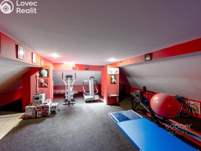 Sale villa Říčany, Severní č. 26