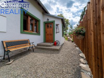 Sale cottage Janov č. 3