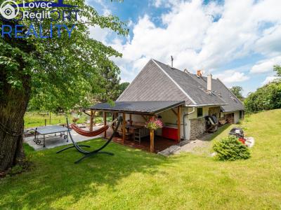 Sale cottage Janov č. 6