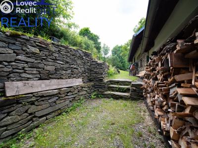 Sale cottage Janov č. 15