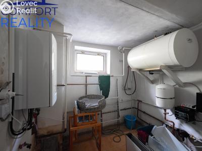 Sale cottage Janov č. 20