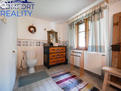 Sale cottage Janov č. 23