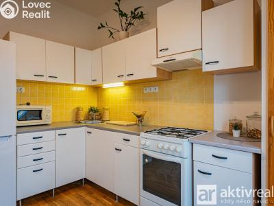 Rent apartment 2+1 Neratovice, Dr. E. Beneše č. 1