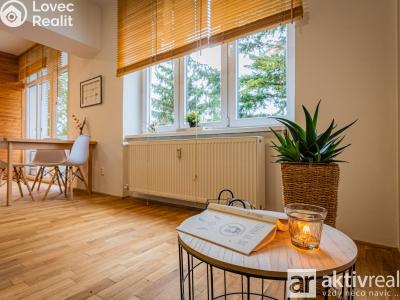 Rent apartment 2+1 Neratovice, Dr. E. Beneše č. 7