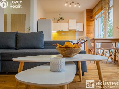 Rent apartment 2+1 Neratovice, Dr. E. Beneše č. 11