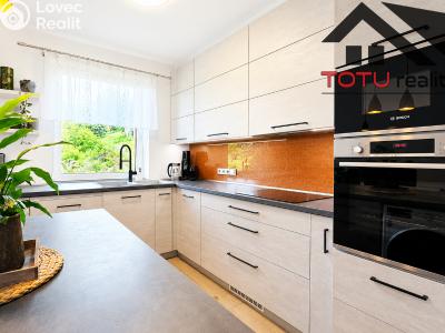Продажа семейного дома Trutnov č. 6