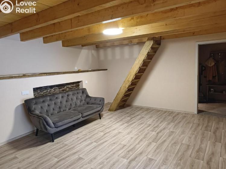 Pronájem bytu 1+1 Stráž č. 4