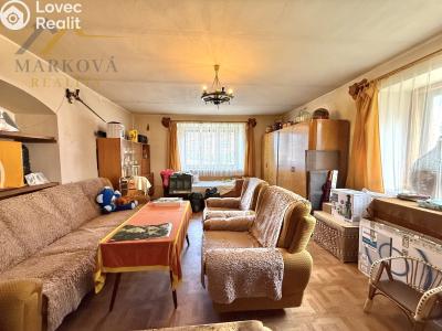 Sale cottage Týn nad Vltavou č. 2