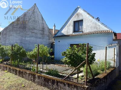 Sale cottage Týn nad Vltavou č. 22