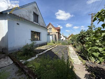 Sale cottage Týn nad Vltavou č. 24