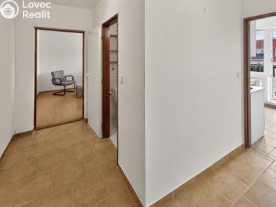 Prodej bytu 1+1 Ralsko č. 6