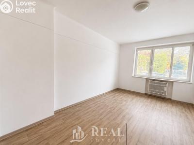 Prodej bytu 1+KK Louny, Přemyslovců 2015 č. 3