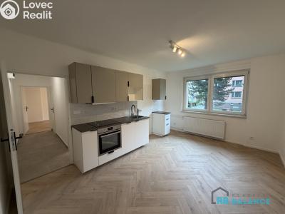 Аренда квартиры 3+KK Svitavy, Riegrova č. 2