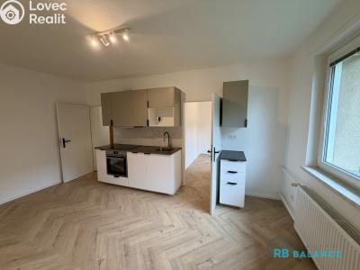 Аренда квартиры 3+KK Svitavy, Riegrova č. 3