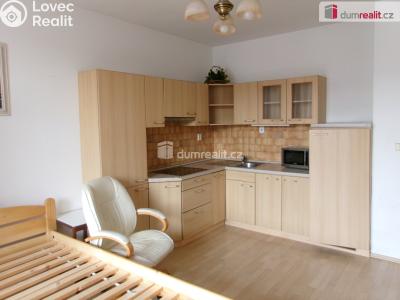 Rent apartment 1+KK Mladá Boleslav, U Kasáren č. 15