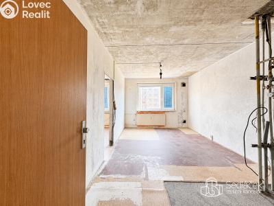 Sale apartment 1+1 Sokolov, Jiřího z Poděbrad č. 2
