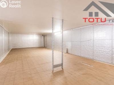 Rent warehouse Černožice č. 6