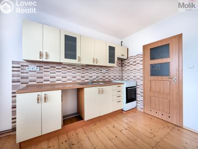 Pronájem bytu 1+KK Litvínov, Podkrušnohorská 782 č. 2