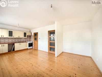 Pronájem bytu 1+KK Litvínov, Podkrušnohorská 782 č. 3