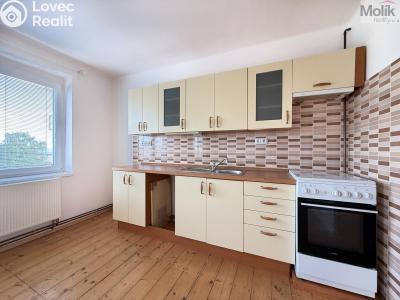 Pronájem bytu 1+KK Litvínov, Podkrušnohorská 782 č. 6