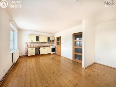 Pronájem bytu 1+KK Litvínov, Podkrušnohorská 782 č. 7