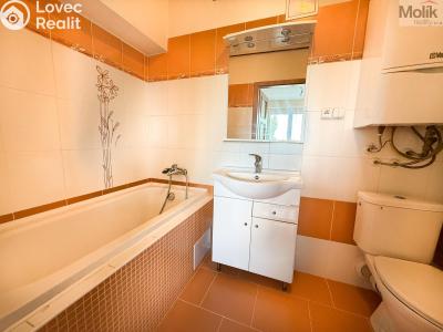 Pronájem bytu 1+KK Litvínov, Podkrušnohorská 782 č. 8