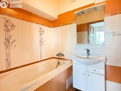 Pronájem bytu 1+KK Litvínov, Podkrušnohorská 782 č. 10