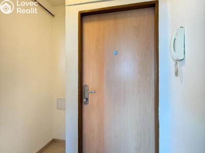 Pronájem bytu 1+KK Litvínov, Podkrušnohorská 782 č. 13